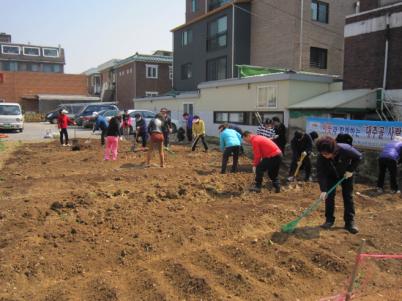 조원1동&#44; 사랑의 텃밭 배추 등 파종